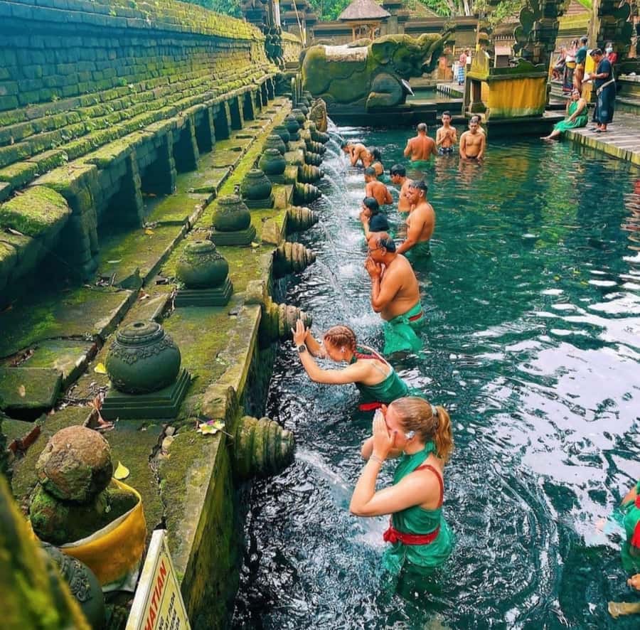 Ubud: Customised private day trip with personal driver - Ubud at Your Pace, With a Driver Who Knows the Flow