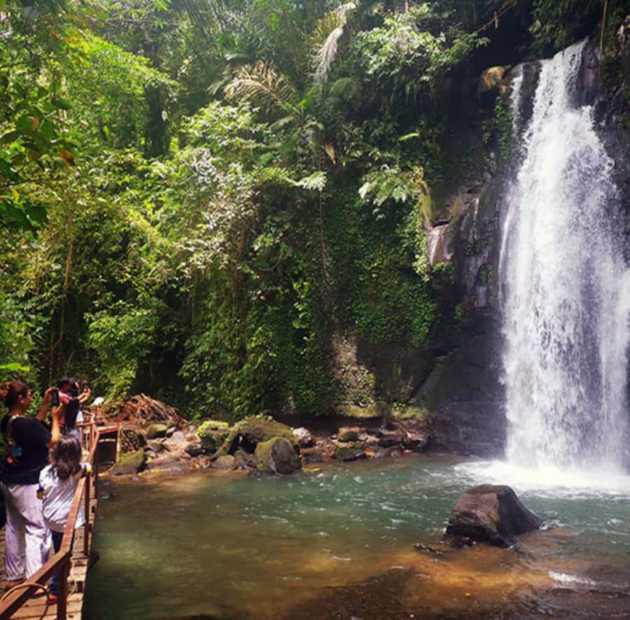 Ubud: Customised private day trip with personal driver - Barong Dance and Art Village: Culture That Explains the Day