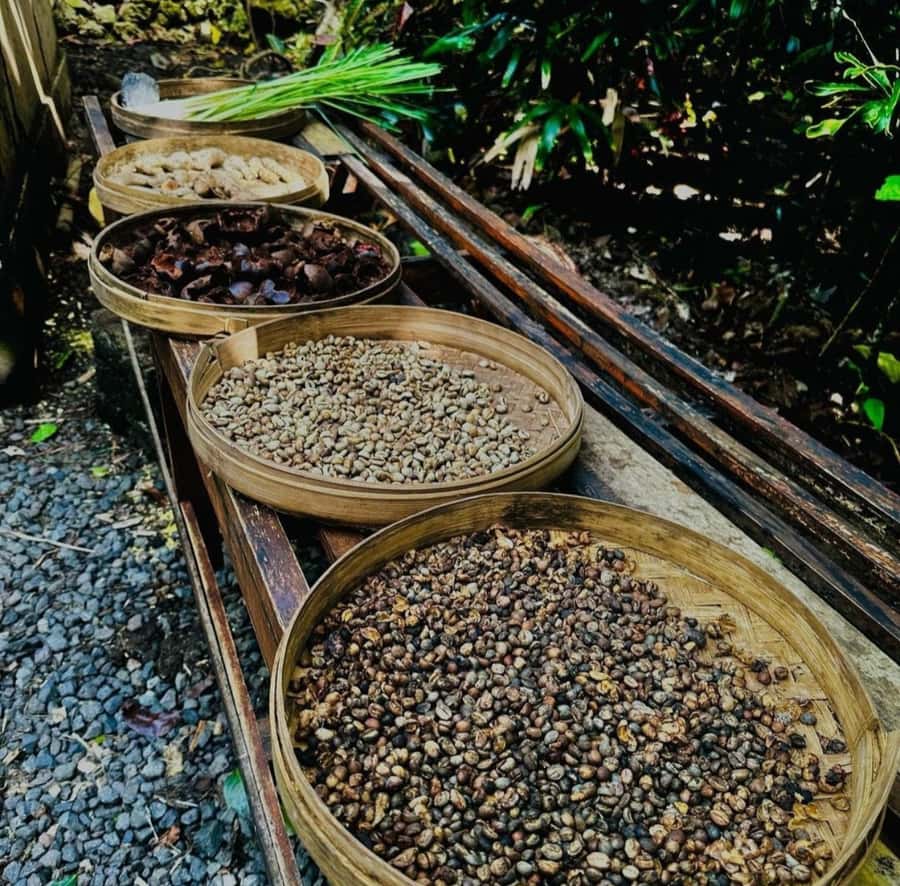 Ubud: Customised private day trip with personal driver - From Pickup to Batuan Temple: Start With a Real Local Atmosphere