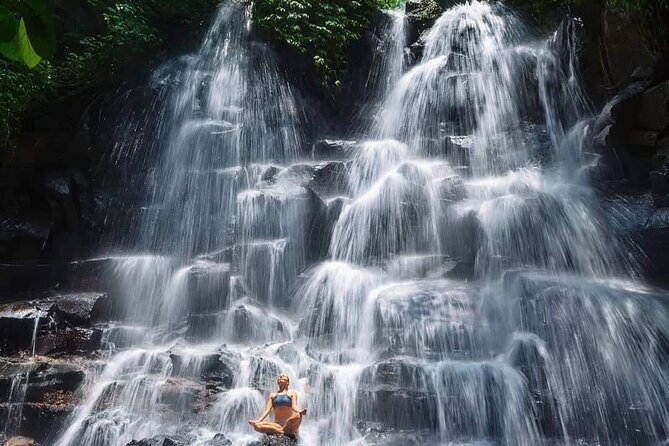 Ubud Customized Full Day Tour - Visit Most favorite In Ubud - Tirta Empul Temple: Holy Spring Water and Cultural Context