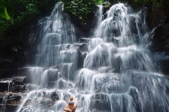 Ubud Customized Full Day Tour - Visit Most favorite In Ubud - How the Day Flows in About 10 Hours