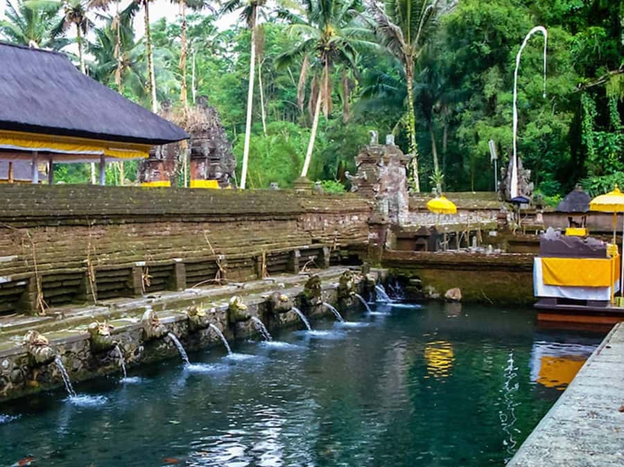 Ubud Customized Tour-Ubud Charter - Price and Value: What $35 Buys in Ubud