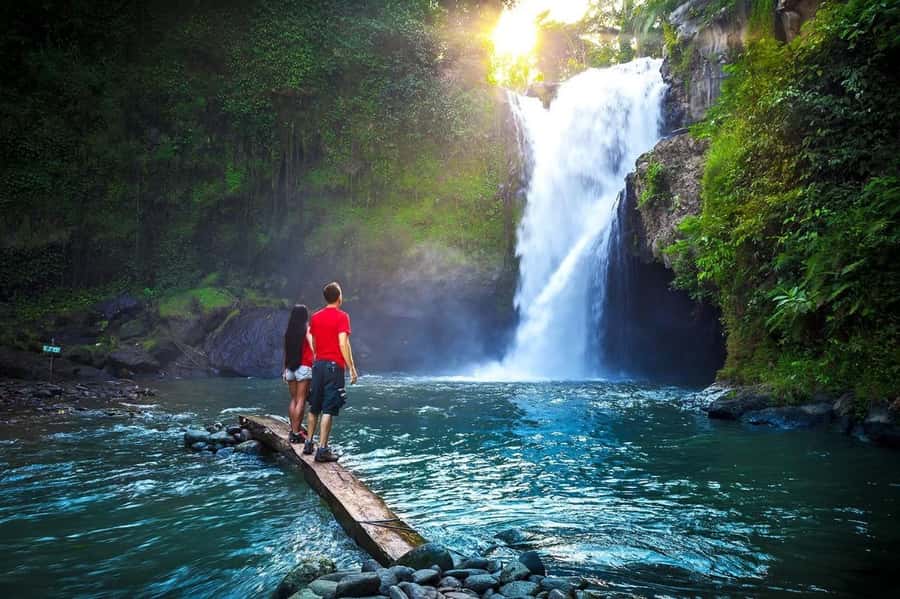 Ubud Customized Tour-Ubud Charter - Tegallalang Rice Terraces: The Classic Ubud Photo Route
