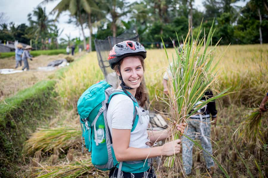 Ubud Cycling Tour : All Inclusive Cycling Adventure - Coffee tasting at the plantation: Luwak coffee and herbal brews