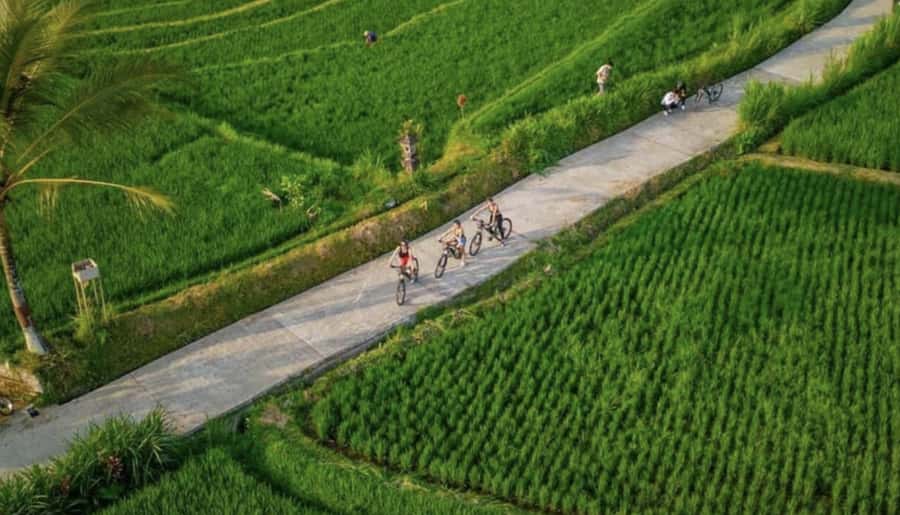 Ubud: Cycling Tour Local Villages, Temple, and Rice Field - Key highlights you’ll feel right away