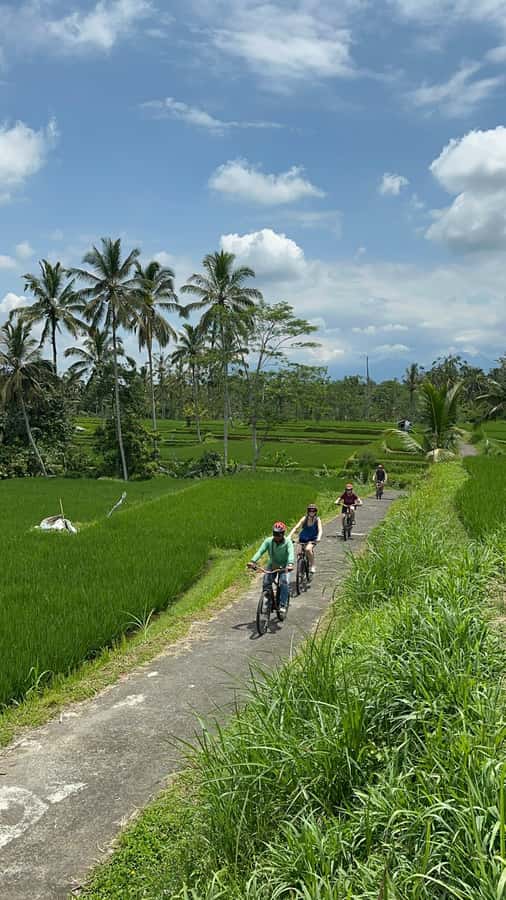 Ubud: Cycling Tour Local Villages, Temple, and Rice Field - Village stop where daily life comes into focus