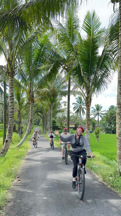 Ubud: Cycling Tour Local Villages, Temple, and Rice Field - Rice fields close up: understanding the work behind Bali’s rice