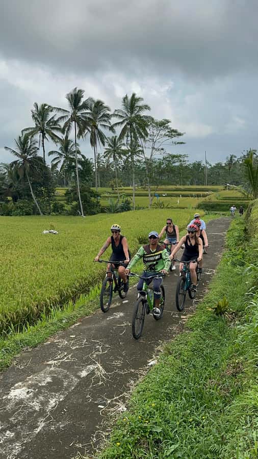 Ubud: Cycling Tour Local Villages, Temple, and Rice Field - Temple visit: stone carvings, sacred grounds, and quiet atmosphere