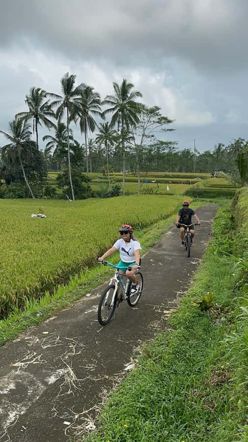 Ubud: Cycling Tour Local Villages, Temple, and Rice Field - What the 3-hour timing feels like in real life