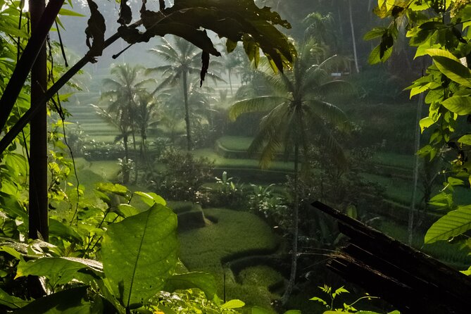 Ubud Day Tour - Top Things to do in Ubud + Local Ubud Guide - Stop 2: Tegenungan Waterfall (views, access, and whether you want to get wet)