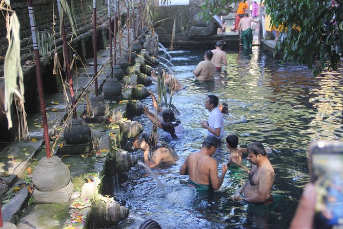Ubud Day Tour - Top Things to do in Ubud + Local Ubud Guide - Stop 4: Tegalalang Rice Terrace (a short trek with classic views)