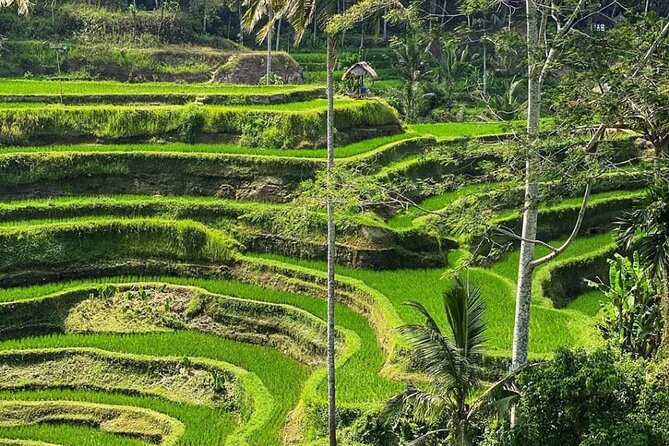 Ubud Day Tour : Waterfall, Temple and Local Night Market Tour - Tibumana Waterfall: What to Expect and the Footwear Lesson