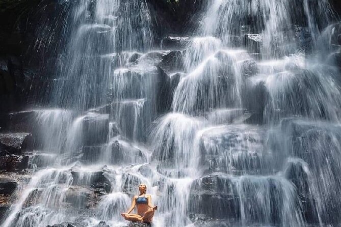 Ubud Day Tour : Waterfall, Temple and Local Night Market Tour - Price and Value: Why $21 Can Feel Like a Deal