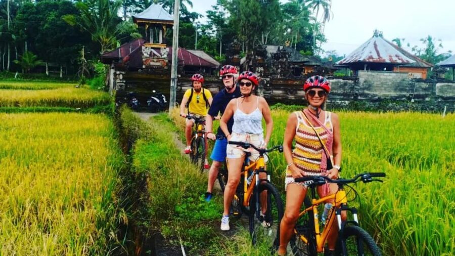 Ubud: Downhill Countryside Cycling From Kintamani - Kintamani to Ubud: what the downhill ride really feels like