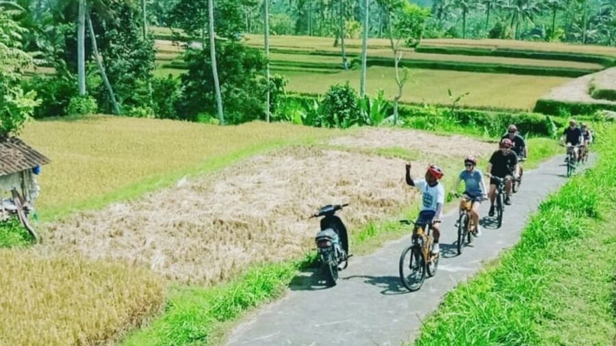 Ubud: Downhill Countryside Cycling From Kintamani - Ubud at the end: using your time for markets and artisan work