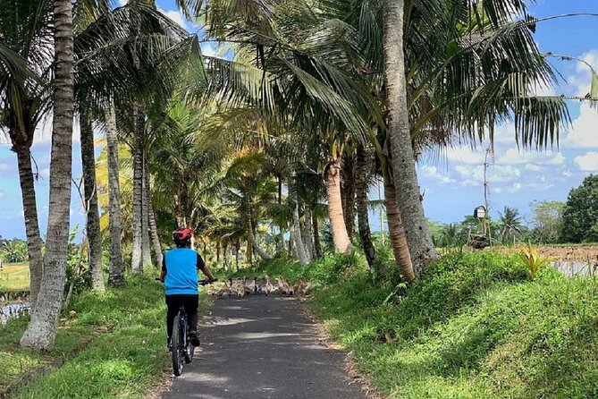 Ubud: Downhill Cycling with Volcano, Rice Terraces and Meal - The guides: what makes this feel personal (and fun)