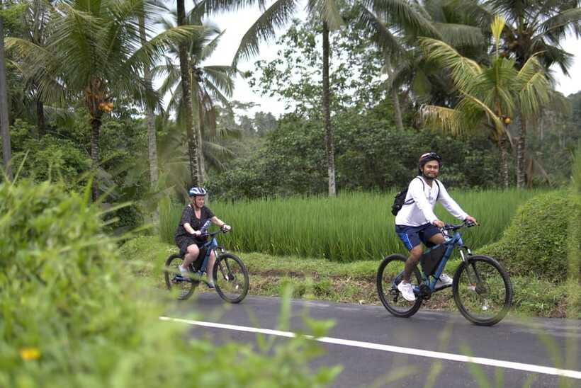 Ubud: E-Bike Tour with Rice Terrace and Village Visit - Price and value: what $27 buys you in 3 hours