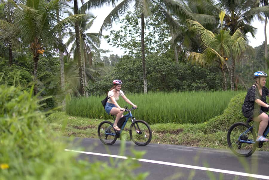 Ubud: E-Bike Tour with Rice Terrace and Village Visit - Why Ubud e-biking is such a smart way to do rice terraces