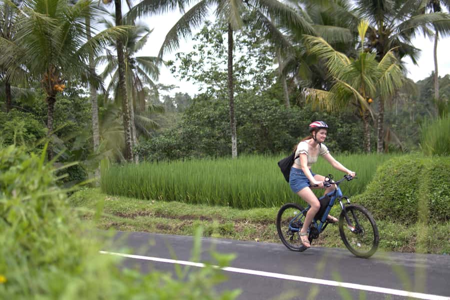 Ubud: E-Bike Tour with Rice Terrace and Village Visit - Optional extras: coffee and tea tastings, swings, and more