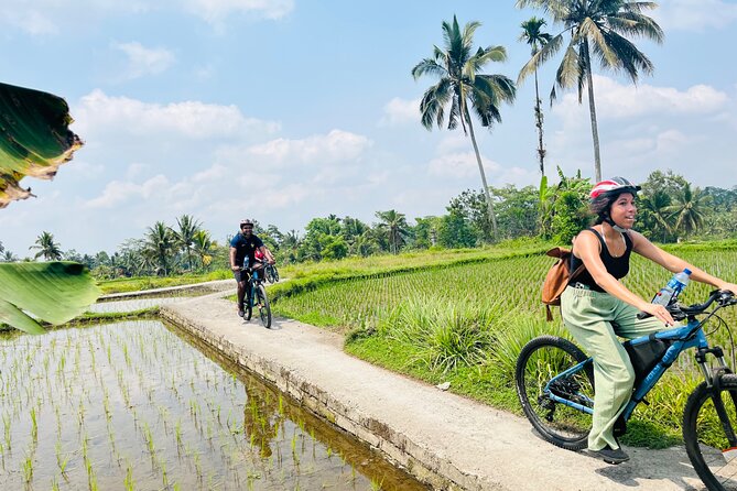 Ubud eBikes Tour to Tegallalang Rice Terrace - Starting at eBikes Ubud Tour office: briefing, bikes, and helmets