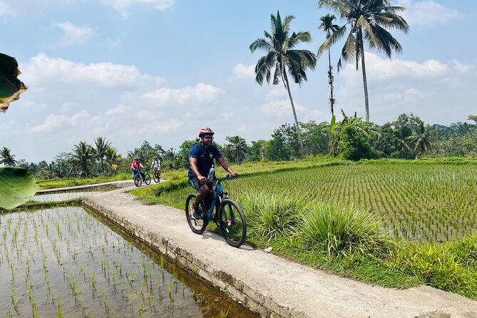 Ubud eBikes Tour to Tegallalang Rice Terrace - Tegallalang rice terraces lunch: timing your photos with your meal