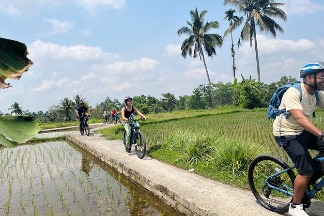 Ubud eBikes Tour to Tegallalang Rice Terrace - Temple and home visits: what makes the culture stop feel real