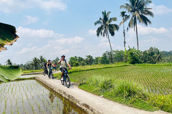 Ubud eBikes Tour to Tegallalang Rice Terrace - How hard is the ride, really? Battery power and pacing