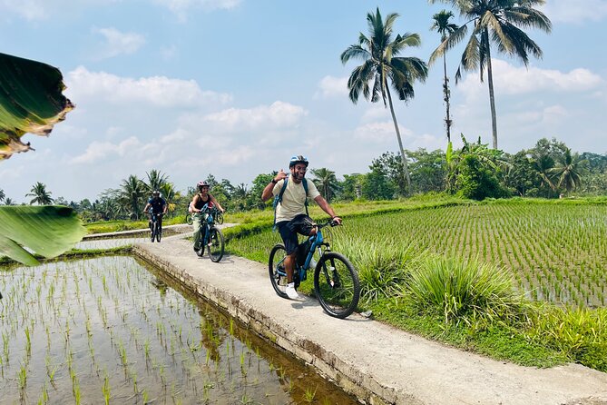 Ubud eBikes Tour to Tegallalang Rice Terrace - Who this tour suits best (and who should skip it)