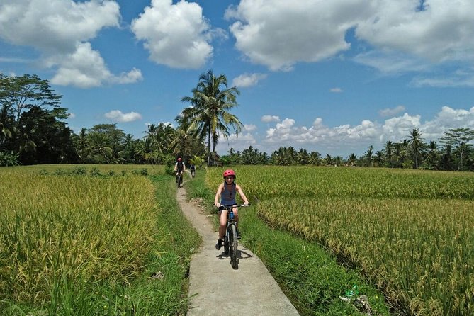 Ubud Eco Culture Cycling Exploration - Key Points at a Glance