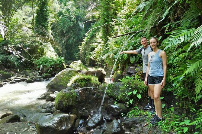 Ubud Eco Culture Cycling Exploration - Why Pedaling Ubud Beats Walking (Especially for Photos)