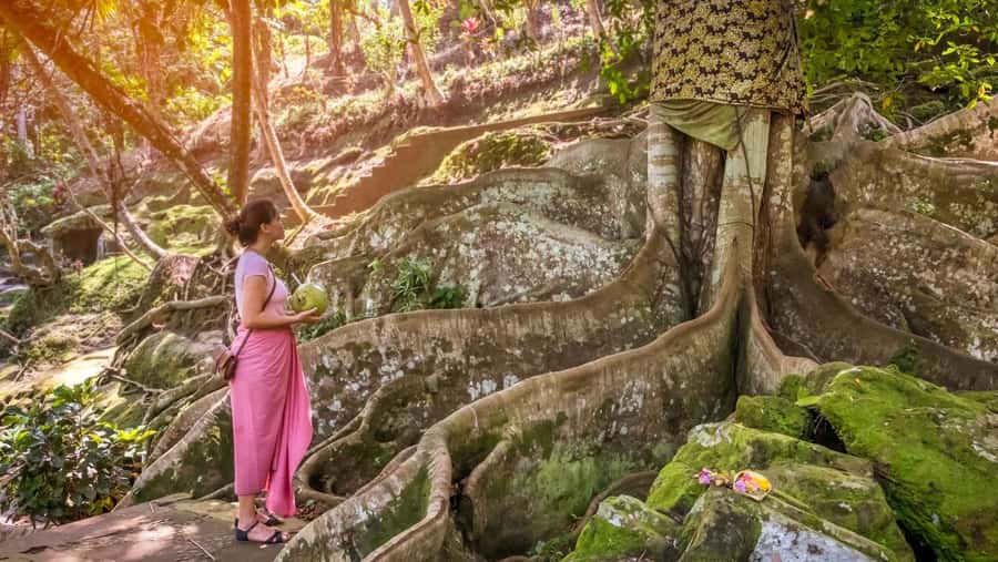 Ubud: Elephant Cave & Pakerisan UNESCO Guided Tour - Pace, footing, and who this tour fits best
