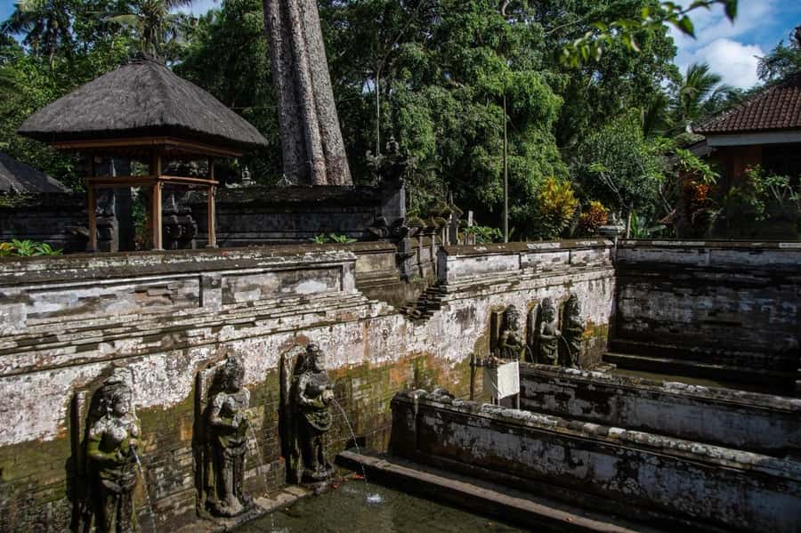 Ubud: Elephant Cave & Pakerisan UNESCO Guided Tour - Best way to enjoy it: go when it’s calmer
