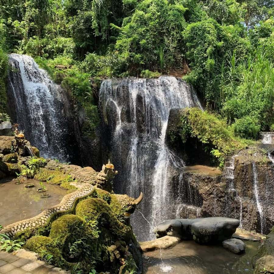 Ubud Experiences : Spiritual Escape Tour and Beji Waterfall - The Ubud Spirit House start: palm reading, healing talk, and a symbolic “roadmap”