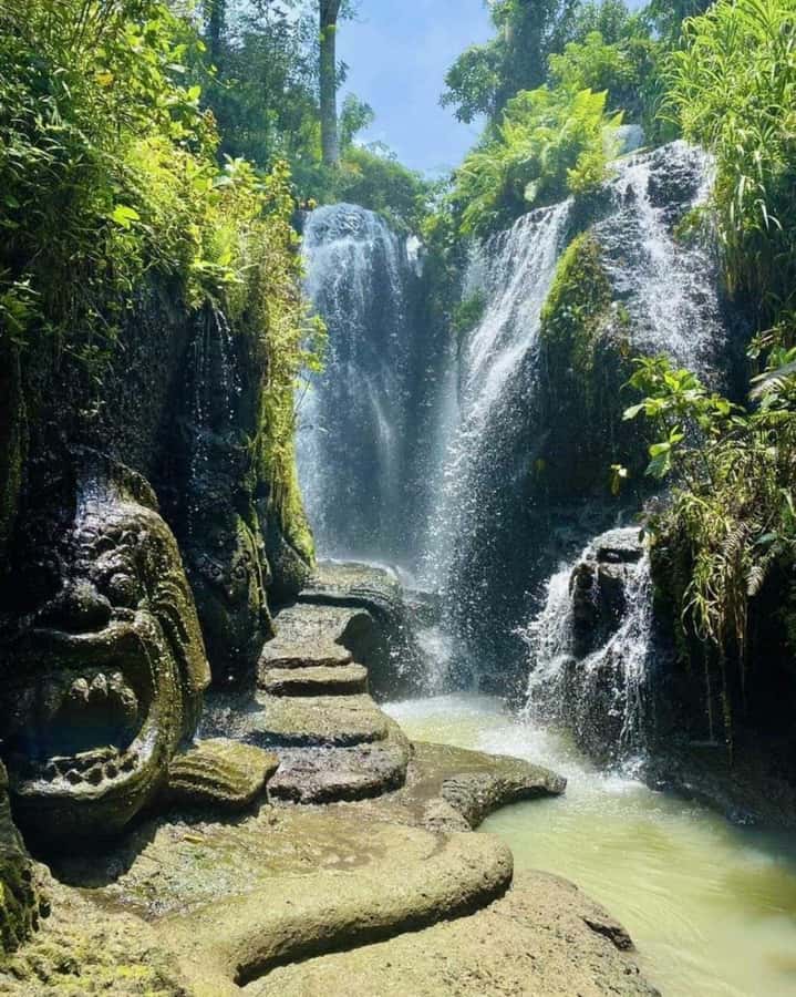 Ubud Experiences : Spiritual Escape Tour and Beji Waterfall - Choosing your option: palm reading + Beji purification, Beji only, or chakra healing in Ubud