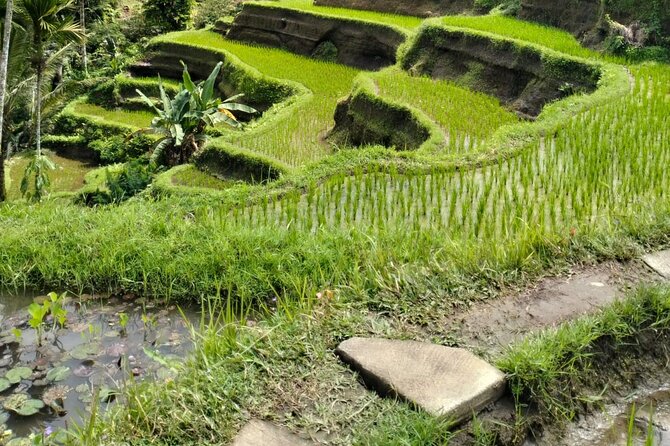 Ubud Explorer Private Day Tour - Stop 2: Tegenungan Waterfall and the hike to the best photo spot