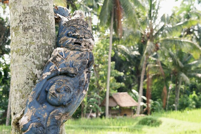Ubud Explorer Private Day Tour - Stop 4: Tegalalang rice terraces for farming views that feel human