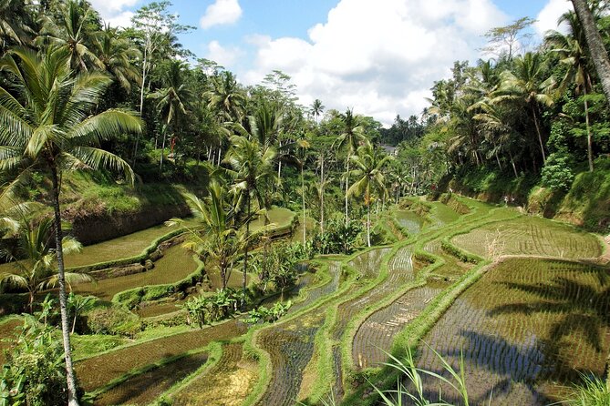 Ubud Explorer Private Day Tour - Your guide makes it: English explanations and photo support