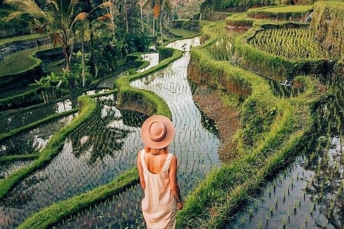 Ubud Explorer Private Day Tour - Price and logistics: what you really get for $52