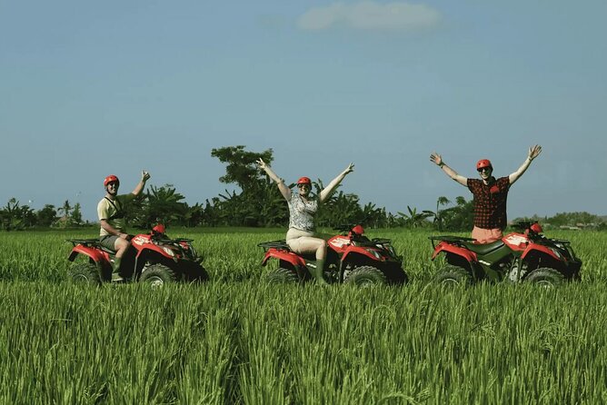 Ubud Full Day ATV Adventure with Rice Terrace and Temple Ritual - Who this Ubud ATV and temple day suits best