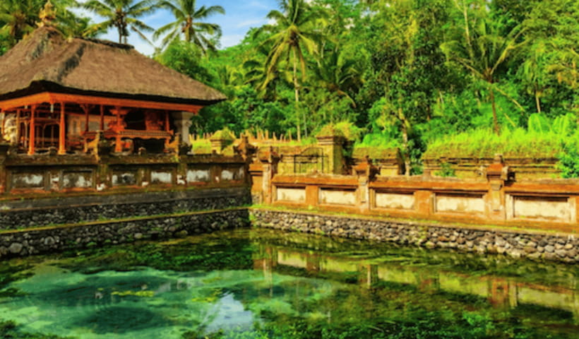 Ubud Full Day Private Tour with All Inclusive - What to Bring (So You Don’t Regret It Later)
