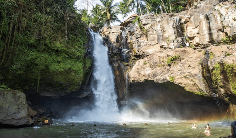 Ubud Full Day Private Tour with All Inclusive - Sacred Monkey Forest Sanctuary: Temples, Statues, and 700+ Macaques