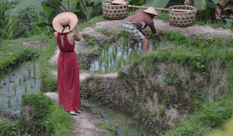Ubud Full Day Private Tour with All Inclusive - D Alas Warung Giant Swing: The Rice-Field Adrenaline Hit