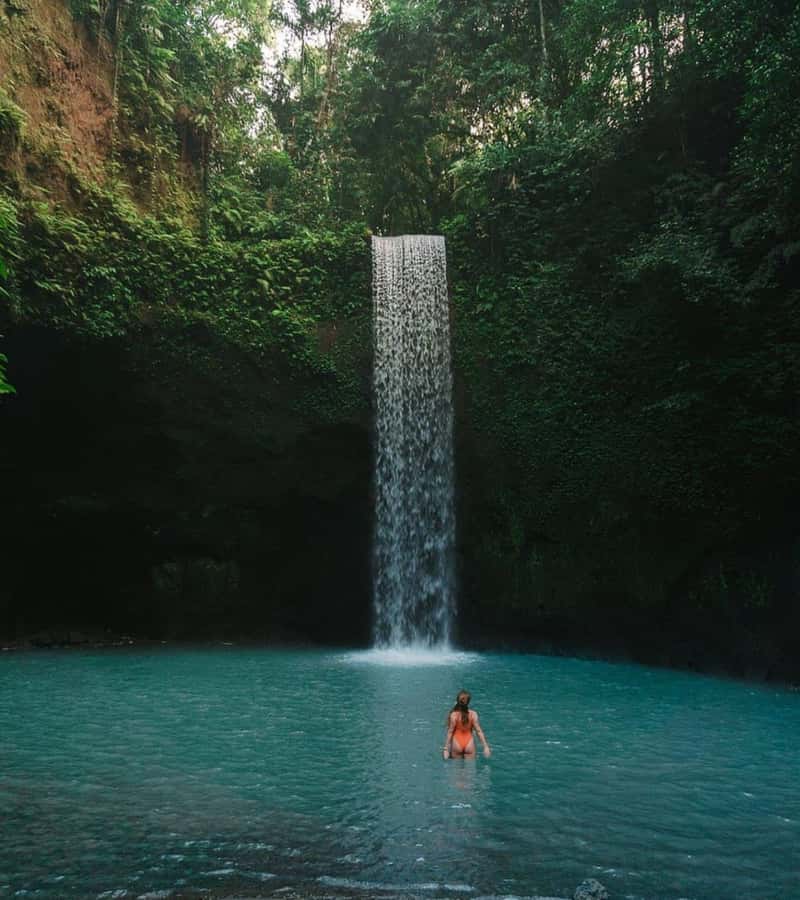 Ubud: Full-Day Rice Terrace, Monkey Forest & Waterfall - Sacred Monkey Forest Sanctuary: fun, photos, and the reality of monkeys