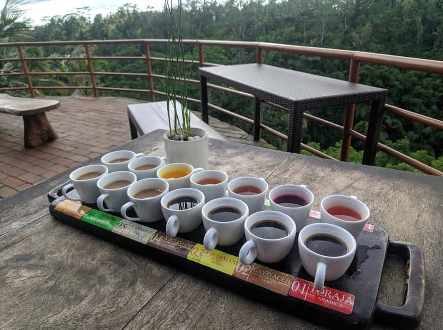 Ubud: Full-Day Rice Terrace, Monkey Forest & Waterfall - A practical 9-hour pacing plan that won’t feel frantic