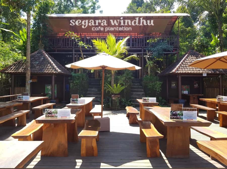 Ubud: Full-Day Rice Terrace, Monkey Forest & Waterfall - What to bring, what to skip, and who this tour fits