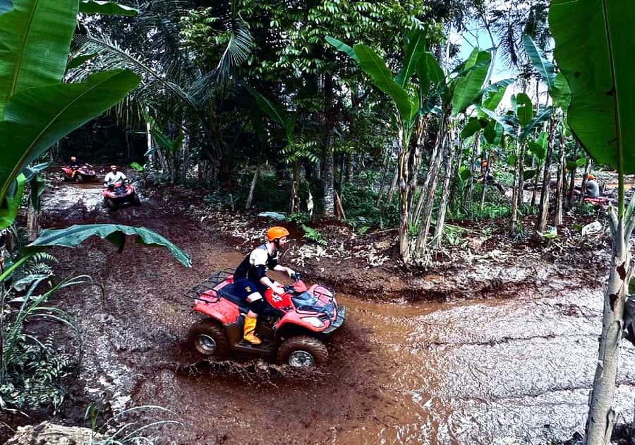 Ubud: Gorilla Face ATV Quad Bike Adventure with Lunch - Price and Value: Why Around $23 Works
