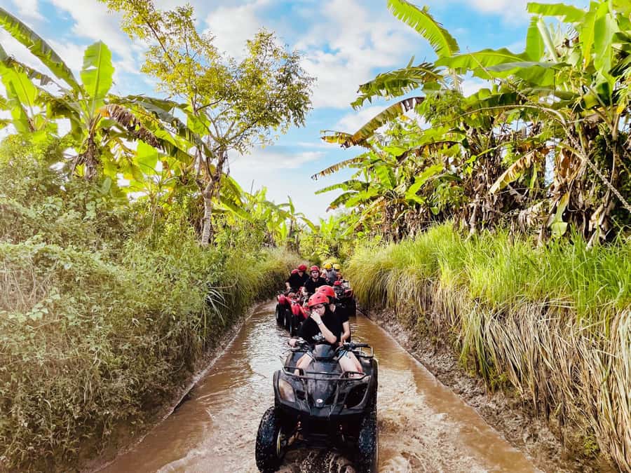 Ubud: Gorilla Face Quad Bike, Jungle Swing, Waterfall & Meal - Why This Ubud Day Works: 3 Big Hits in One Pass