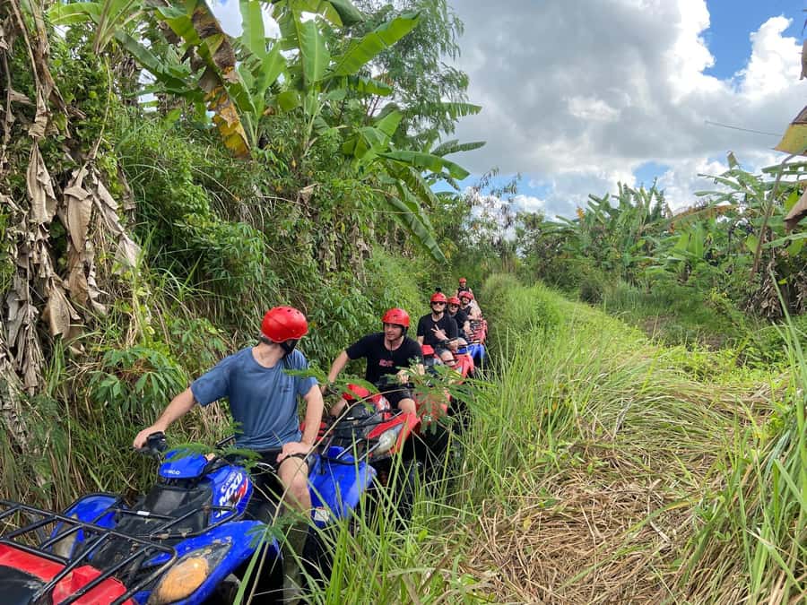 Ubud: Gorilla Face Quad Bike, Jungle Swing, Waterfall & Meal - Satria Agrowisata Jungle Swing: Big Views, Coffee Break, and Safer Photo Chaos