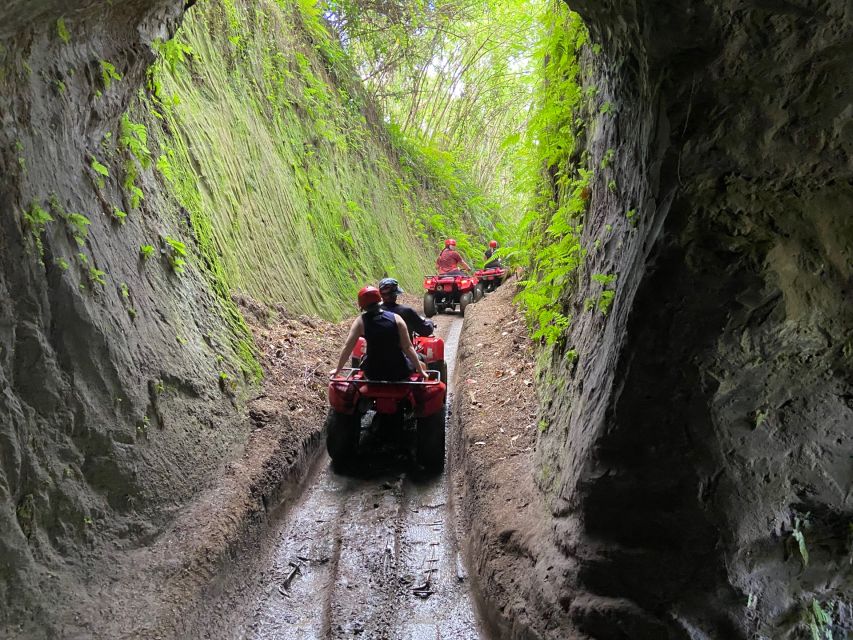 Ubud: Gorilla Face Quad Bike, Jungle Swing, Waterfall & Meal - Price and Value: What $46 Buys You (and Why It’s Not Just a Ride)