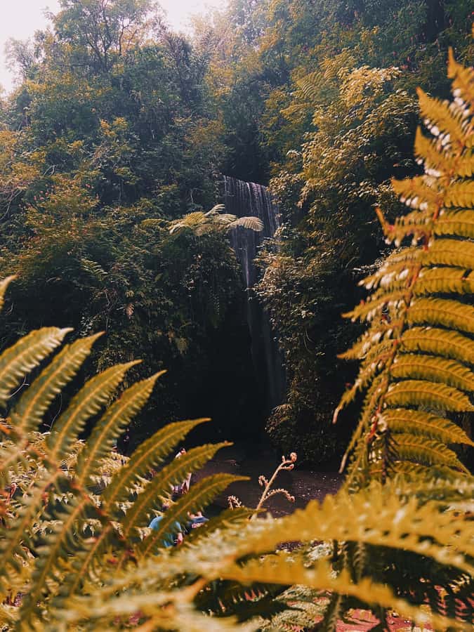 Ubud: Gorilla Face Quad Bike, Jungle Swing, Waterfall & Meal - Pickup, Meeting Points, and the Reality of Getting Around Ubud
